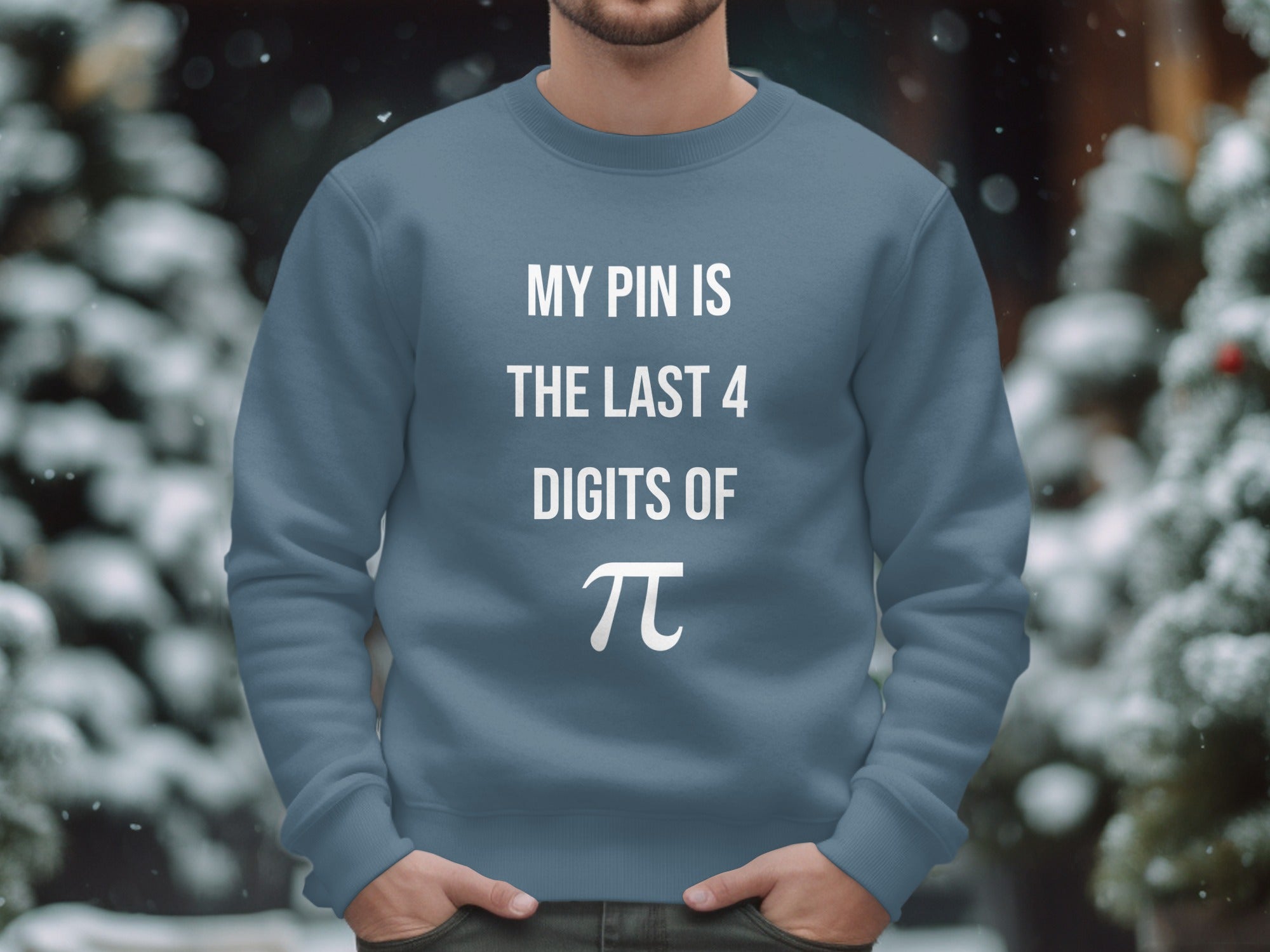 My Pin Is The Last 4 Digits Of Pi Sweatshirt Product